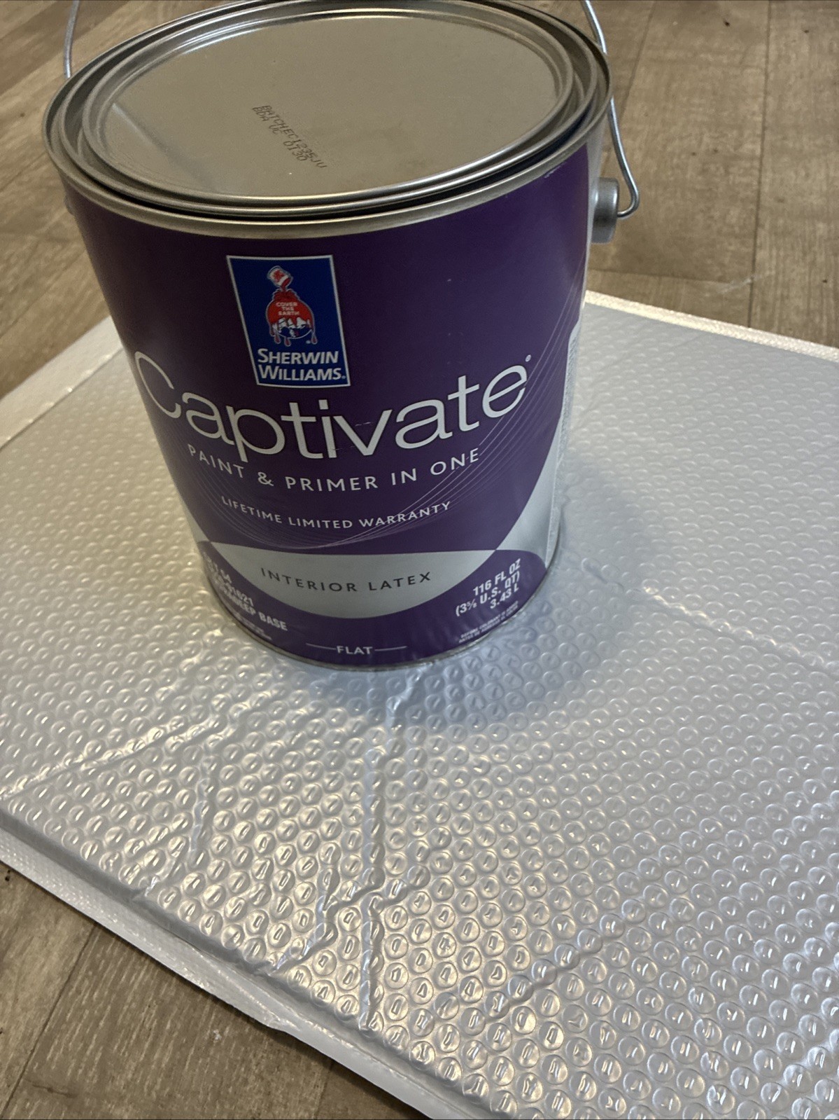 Captivate Paint & Primer In One C8 T 54