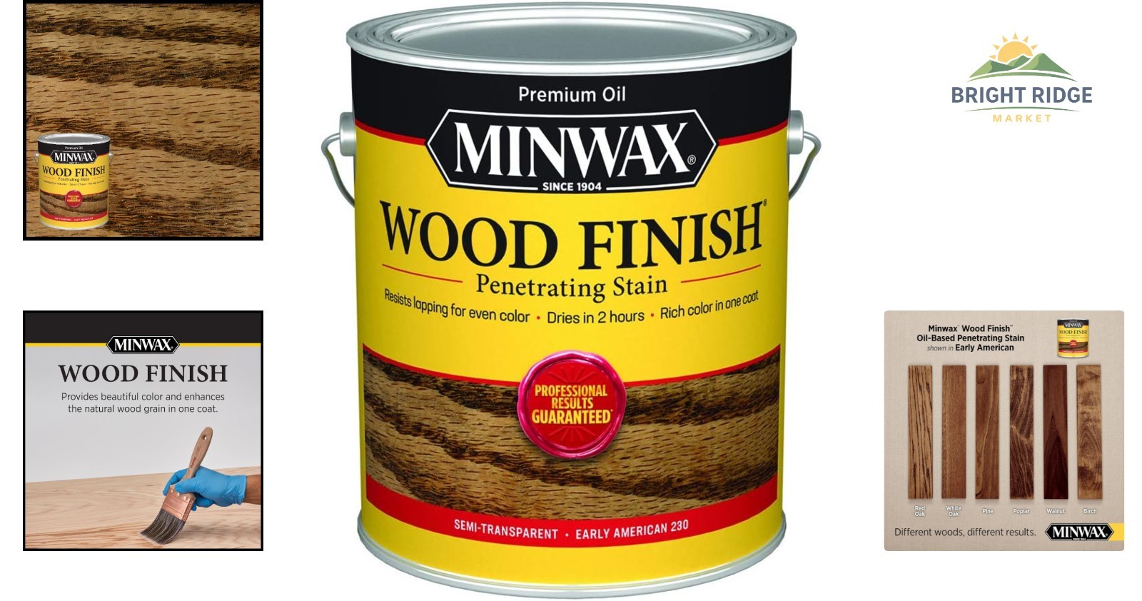 Versatile 1 Gallon Wood Stain, Quick Drying Oil Finish for Interior Applications