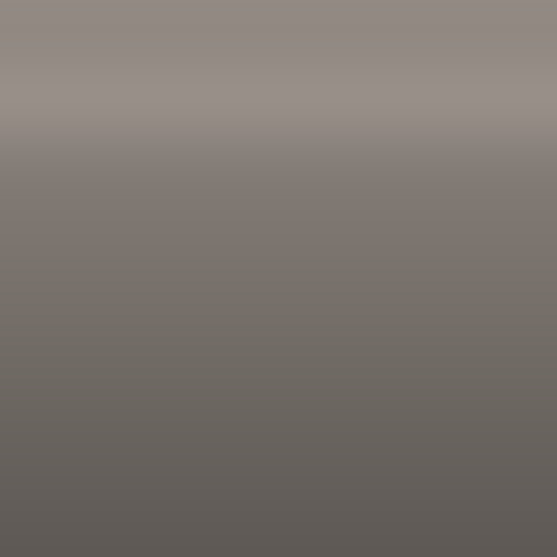 Automotive Touch Up Paint Chrysler Light Toffee Silver Metallic AY111PTE