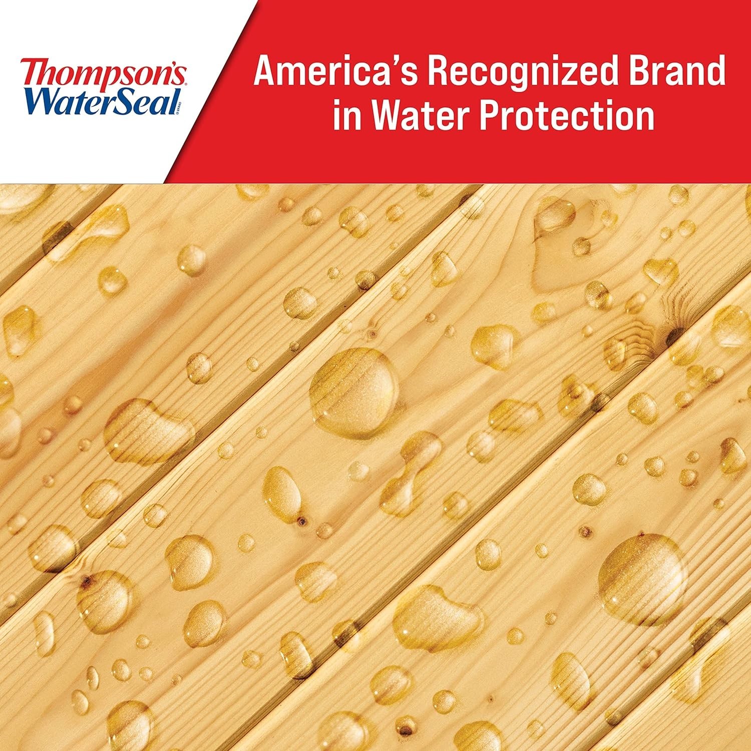 1 Gallon Clear Waterproofing Stain by Thompson’s – Ideal for Wood & Concrete