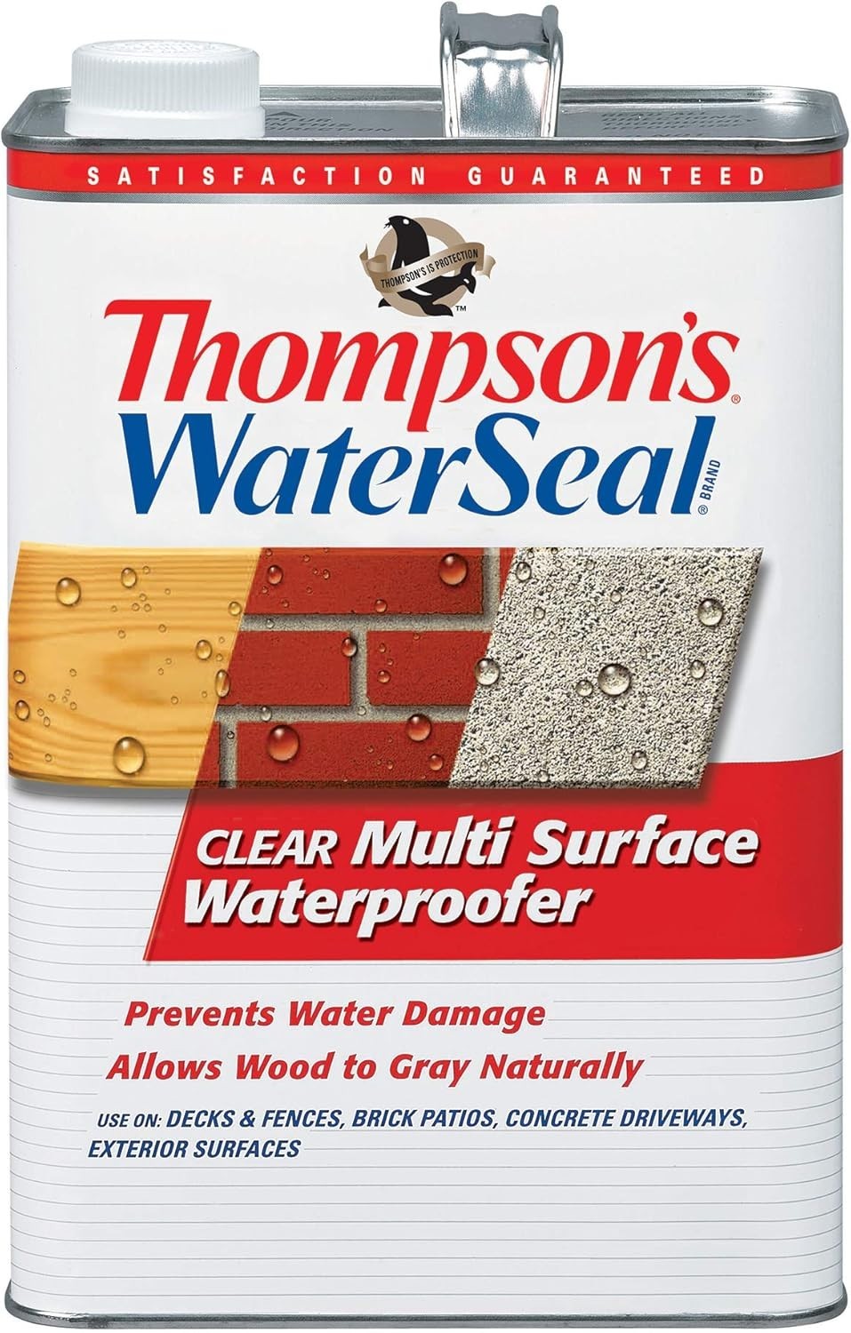 Thompson’s WaterSeal Multi-Surface Waterproofer Stain, Clear, 1 Gallon