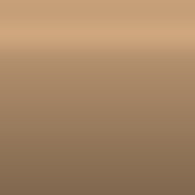 Automotive Touch Up Paint Chevrolet Light Mesa Brown Metallic 9208