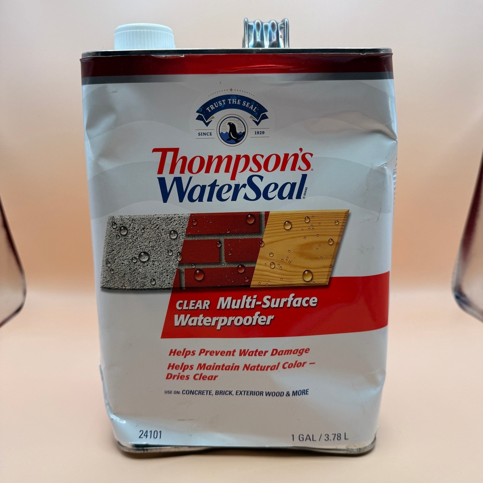 Thompson’s WaterSeal Multi-Surface Waterproofer Stain, Clear, 1 Gallon