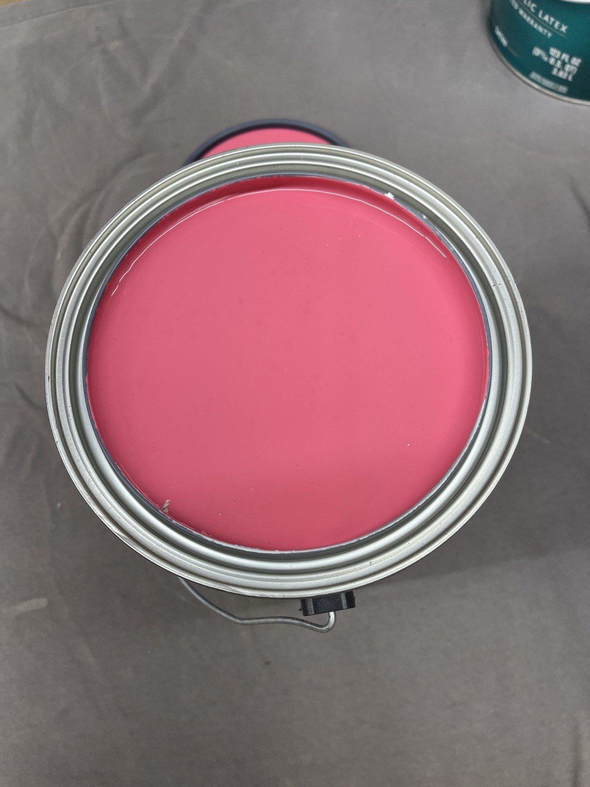 1 Gallon Sherwin Williams Super Paint Interior Satin/ 6860 Eros Pink