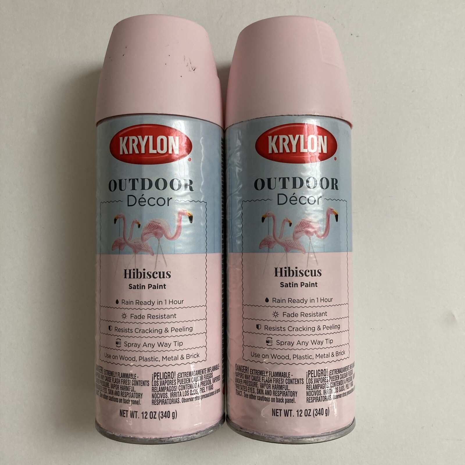 2 Pack – Krylon Outdoor Decor Pink Hibiscus Satin Spray Paint, IMPERFECT CANS