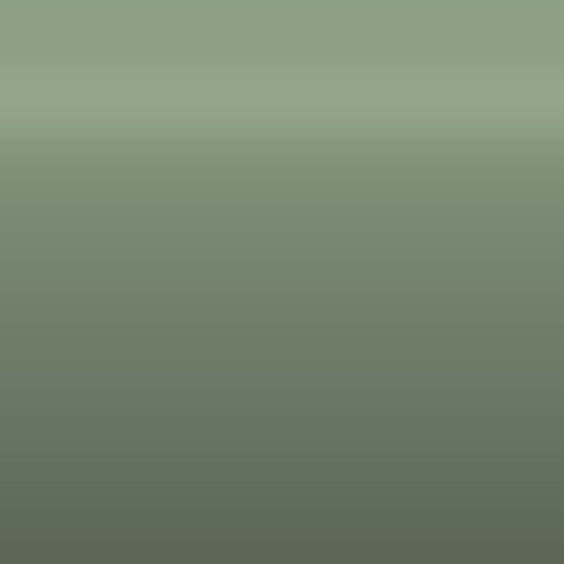Automotive Touch Up Paint Subaru Pistachio Green Metallic 417