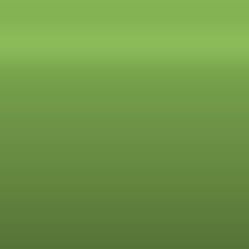 Automotive Touch Up Paint Toyota Luminous Green Metallic 6W5