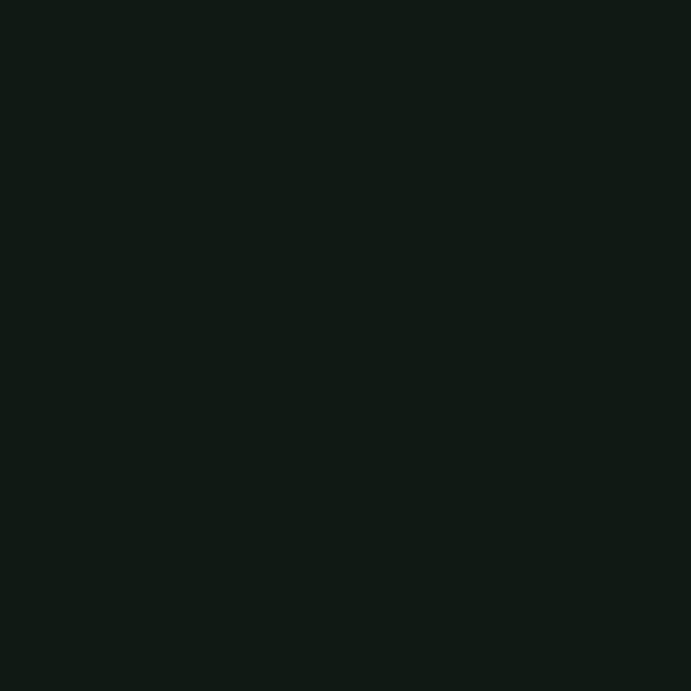 Rust-Oleum 7778830-6PK High Heat Enamel Spray Paint, 12 oz, Bar-B-Que Black,…