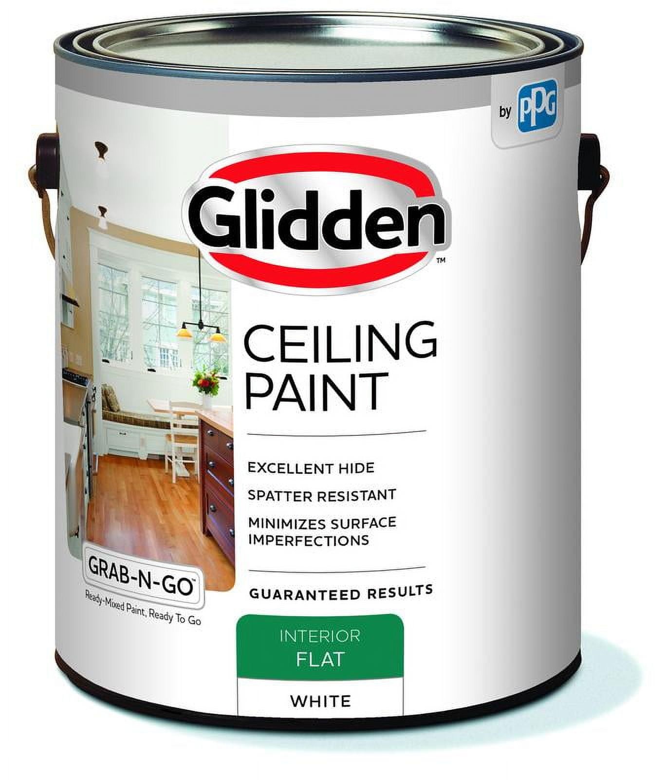 Grab-N-Go Interior Ceiling Paint Flat White 1 Gallon