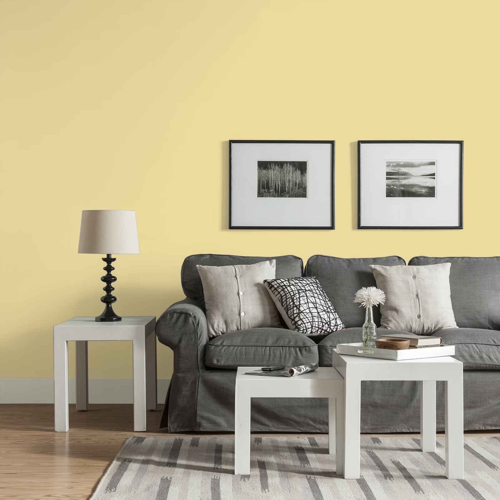 Fundamentals Demeter / Yellow Eggshell Interior Paint, 1 Gallon