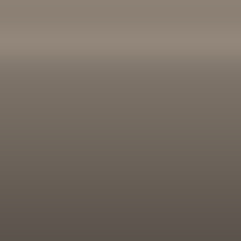 Automotive Touch Up Paint Eagle Light Brown Metallic C46