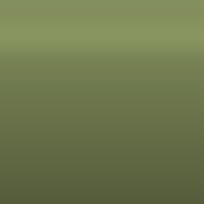Automotive Touch Up Paint Toyota Light Green 634