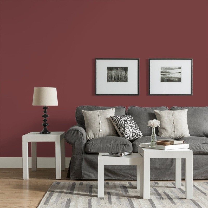 Low VOC Low Odor Interior Paint Multi-Surface Good Coverage Washable Fast Drying