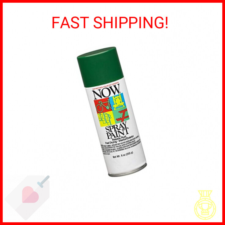 9 oz Krylon 21205 NOW Hunter Green Enamel Spray Paint