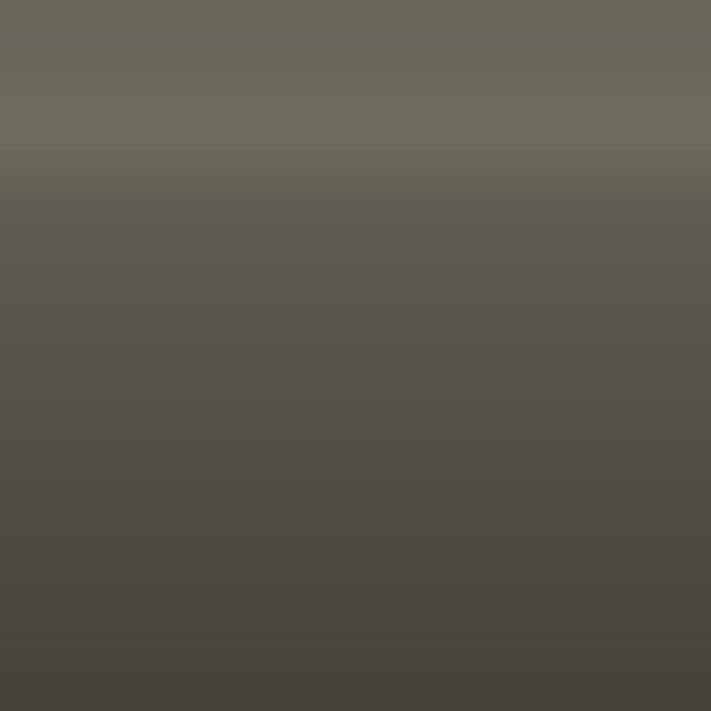 Automotive Touch Up Paint Toyota Oxide Bronze Metallic 6X1