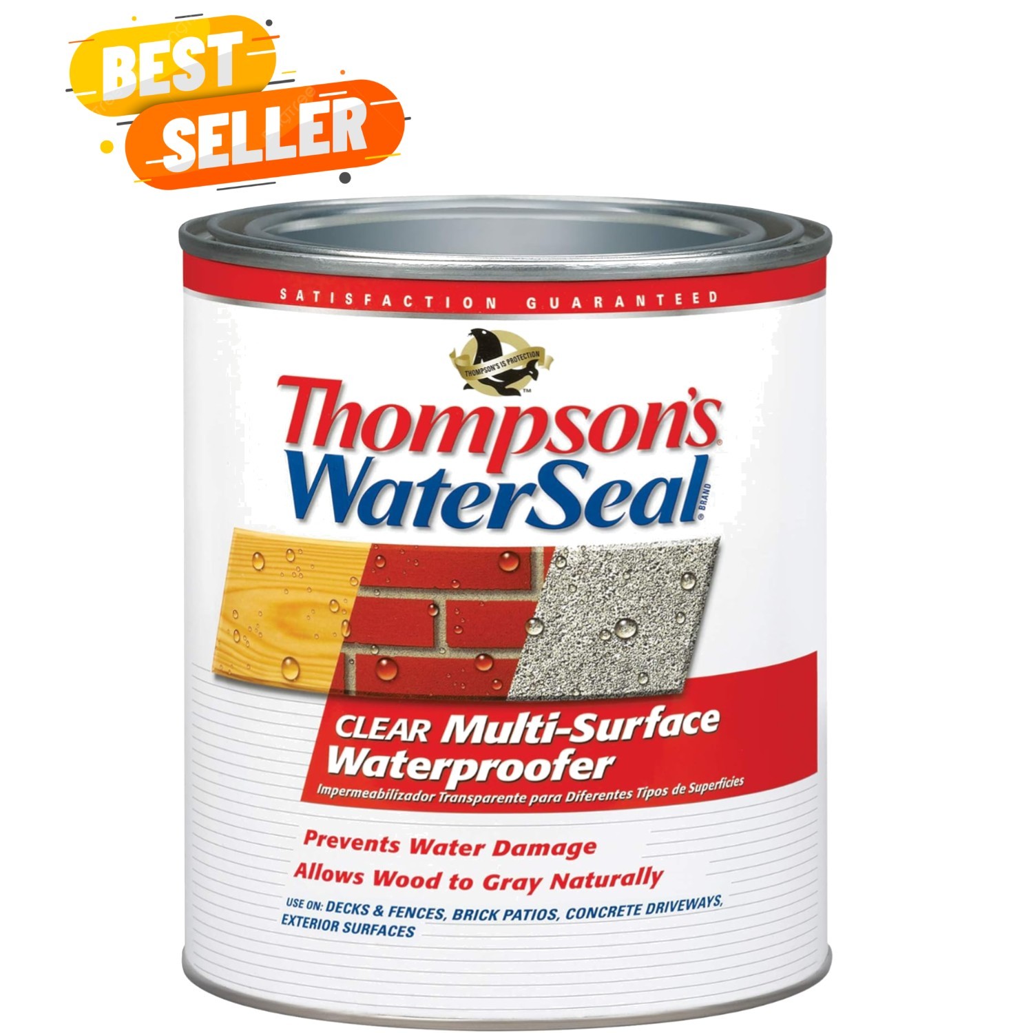 Thompson’s WaterSeal Multi-Surface Waterproofer Stain, Clear, 1 Quart