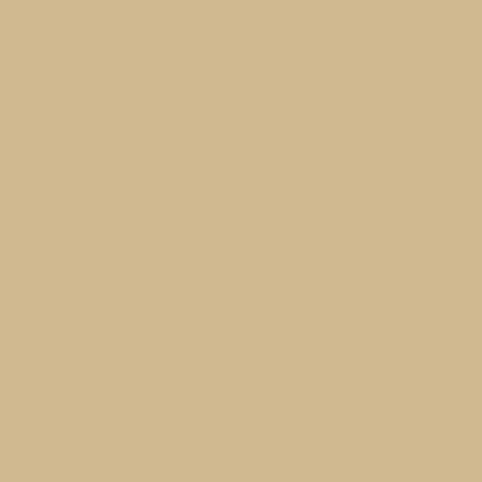 Premium Automotive Paint, Light Driftwood Color, 8 oz Perfect Match Spray