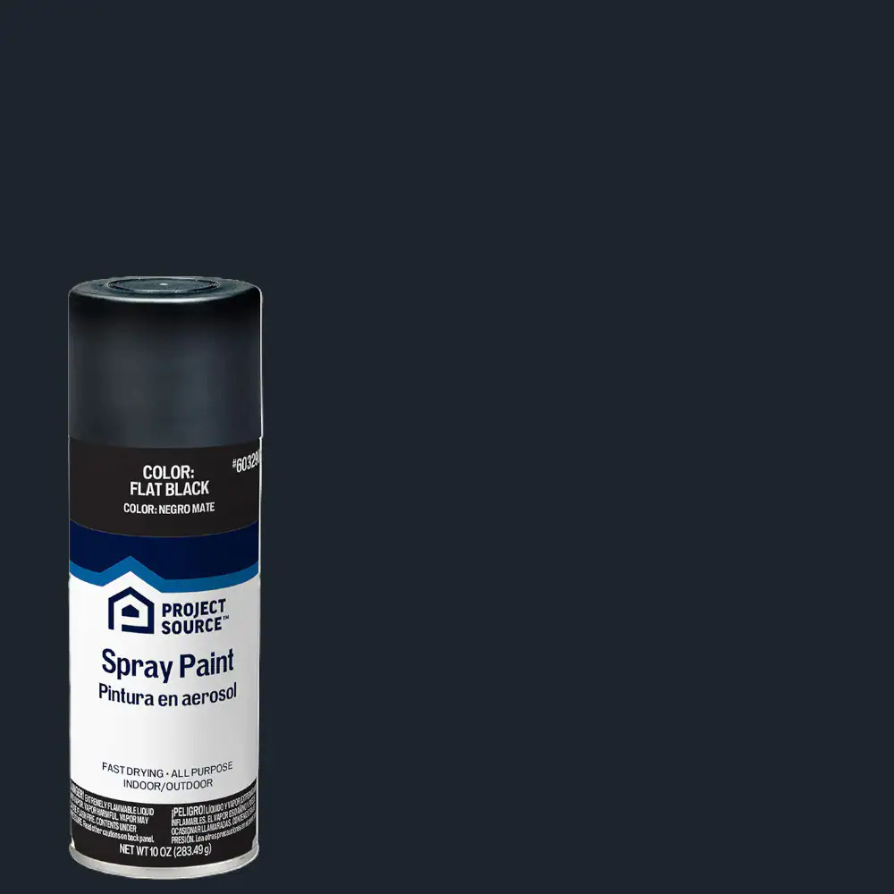 Project Source Flat Black Oil-Based Spray Paint ( NET WT. 10-Oz )
