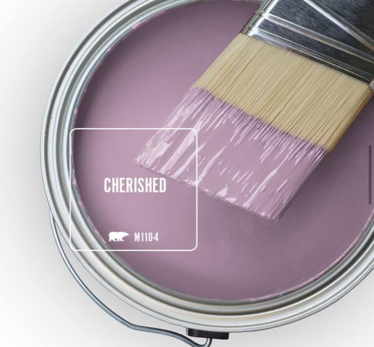 Behr Premium Plus 5 Gal. #M110-4 Cherished Semi-Gloss Exterior Paint & Primer