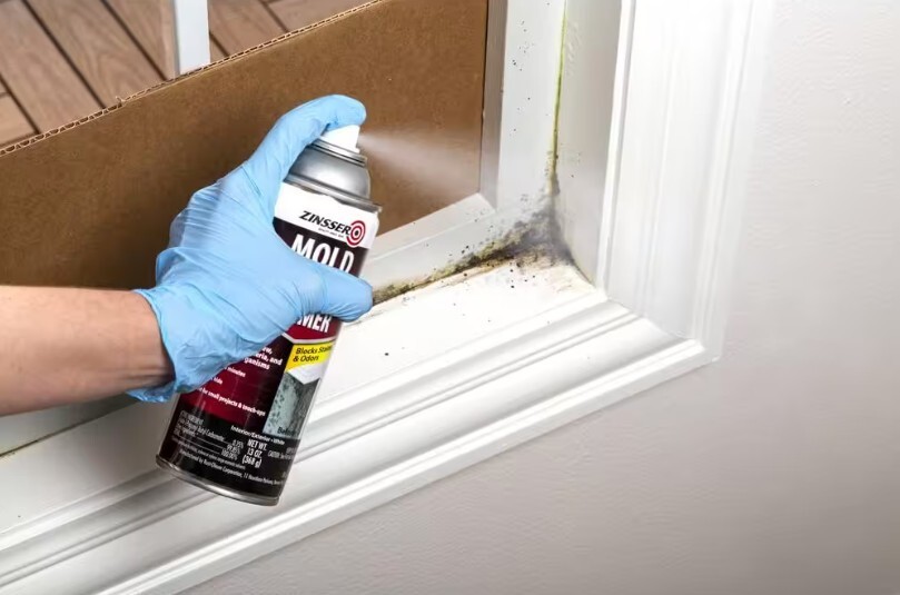 Zinsser Mold Blocking Interior/Exterior Primer, Blocks Stains & Odors – 6 Pack