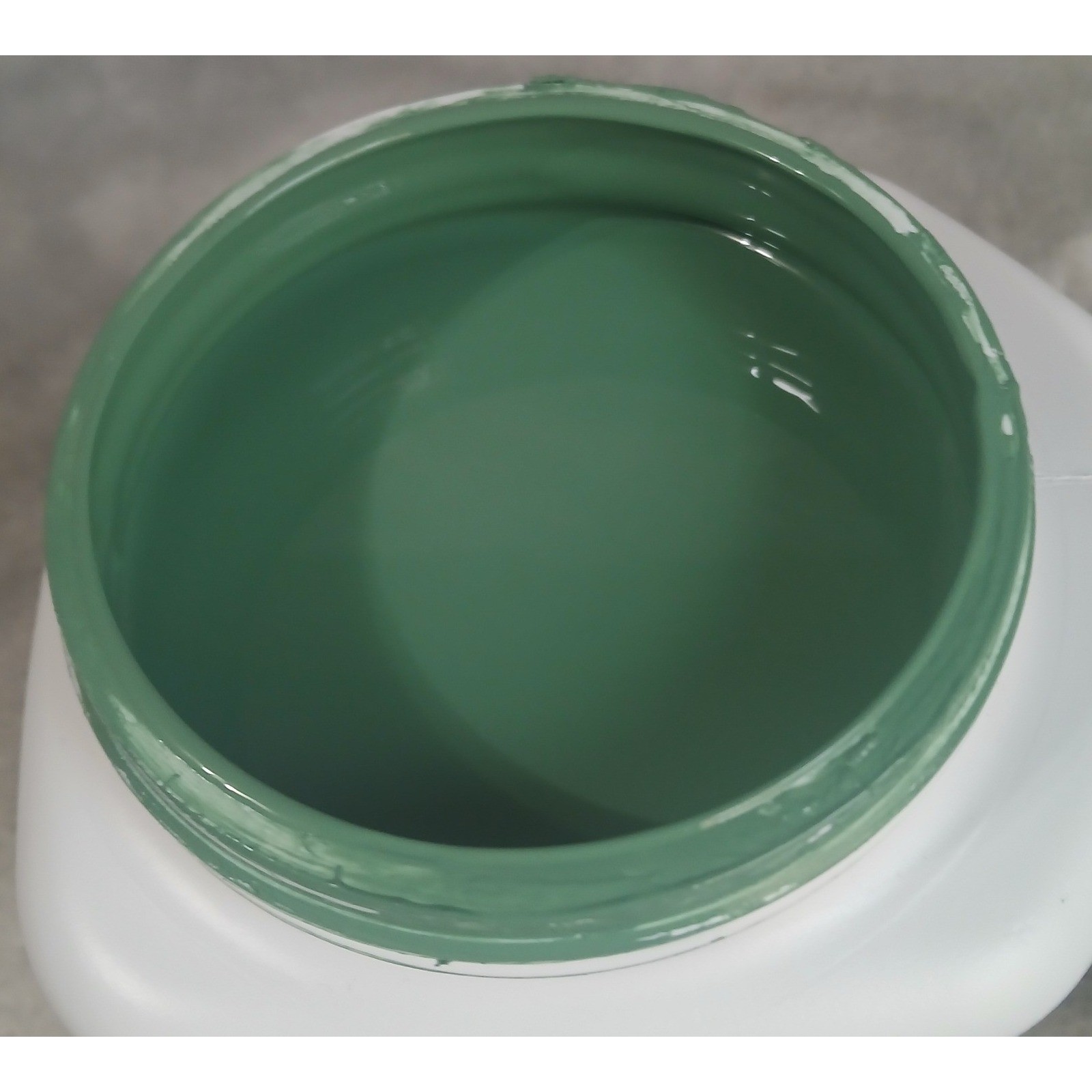 Sherwin Williams Color To Go Interior Latex Paint Satin Kale Green 6460 29.5oz