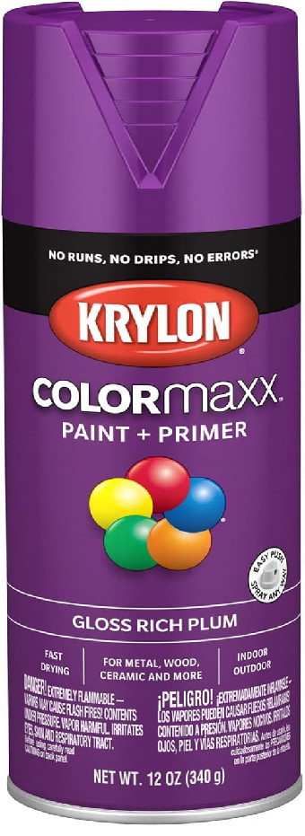 Krylon K05536007 COLORmaxx Spray Paint and 12 Ounce (Pack of 1), Rich Plum