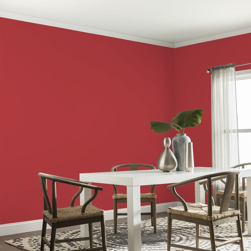 Low VOC Interior Paint Eggshell Washable Multi-Surface Fast Drying 400 Sq Ft New