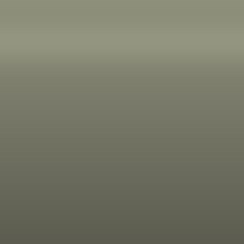 Automotive Touch Up Paint Toyota Warm Silver Metallic 115