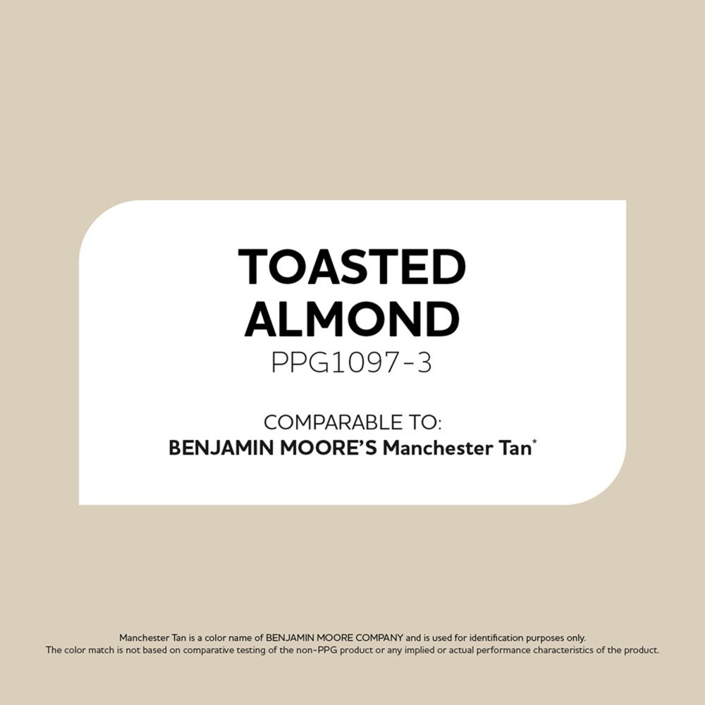 Fundamentals Toasted Almond / Beige, Eggshell Interior Paint, 1 Gallon