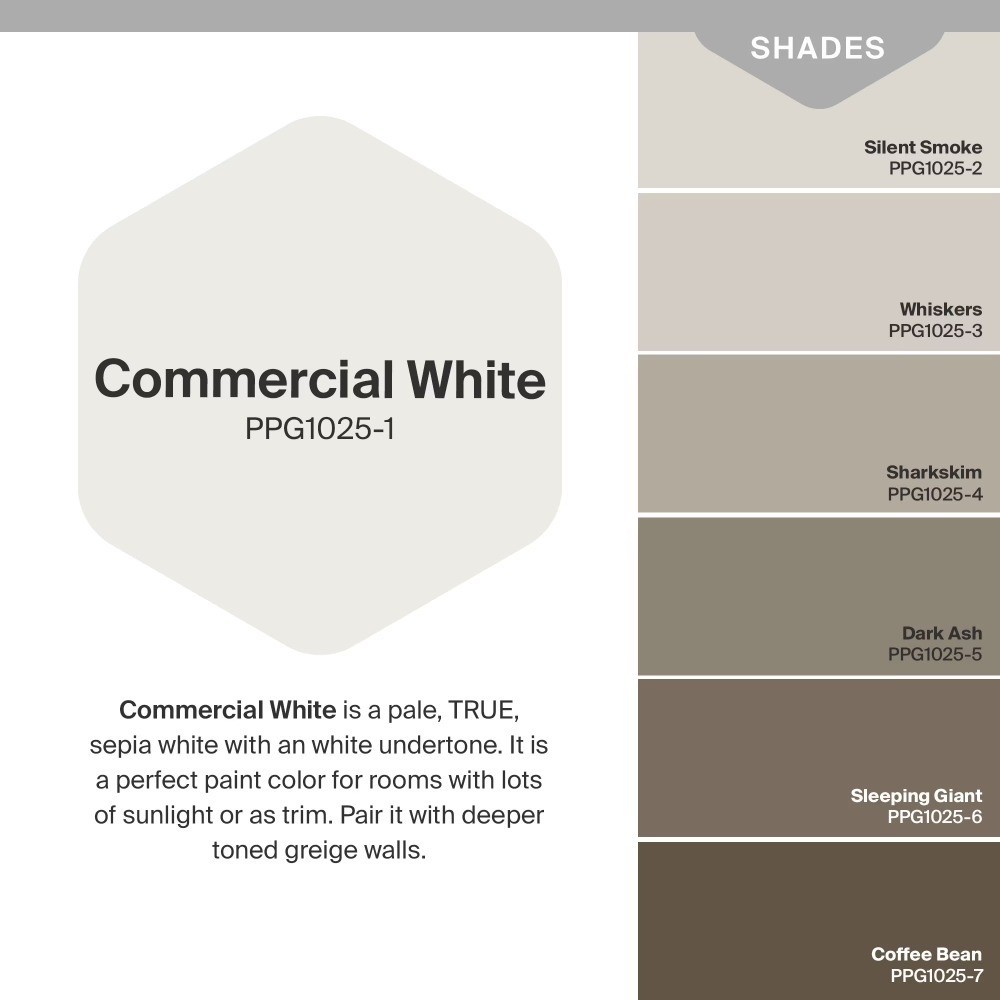 1 Gallon Interior Paint, White Eggshell Finish, Premium Washable Paint for Walls