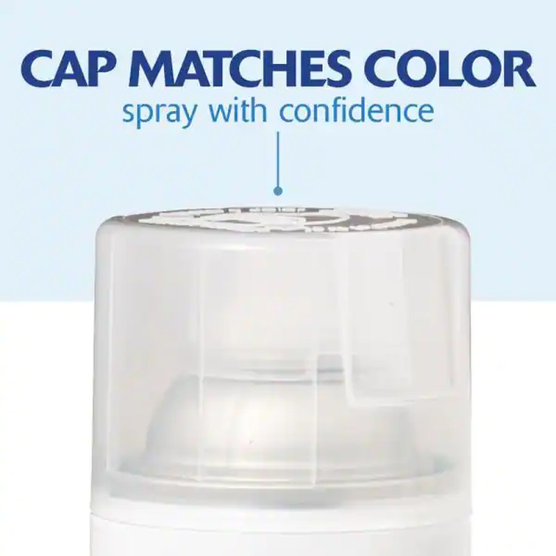 12 oz. Gloss Clear General Purpose Spray Paint for Wood Metal Plastic