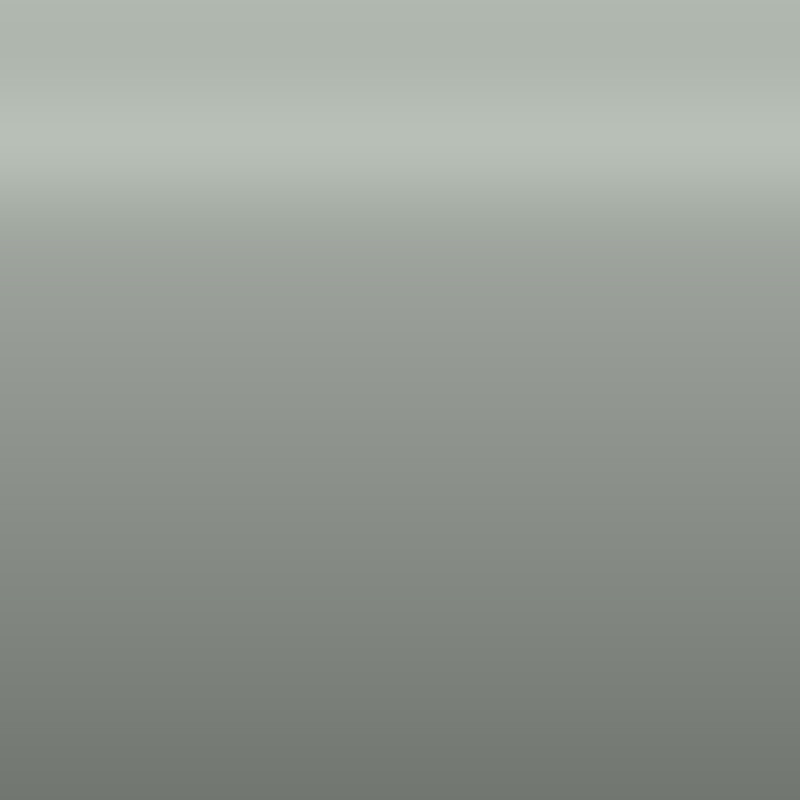 Automotive Touch Up Paint GMC Pearl Gray WA9057