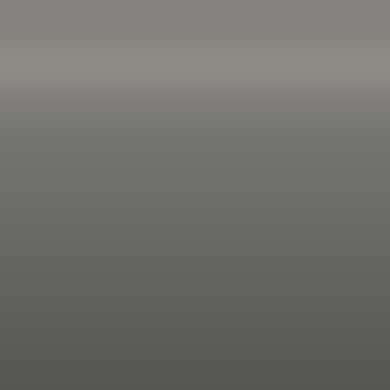 Automotive Touch Up Paint Volkswagen Light Brown Metallic 7S