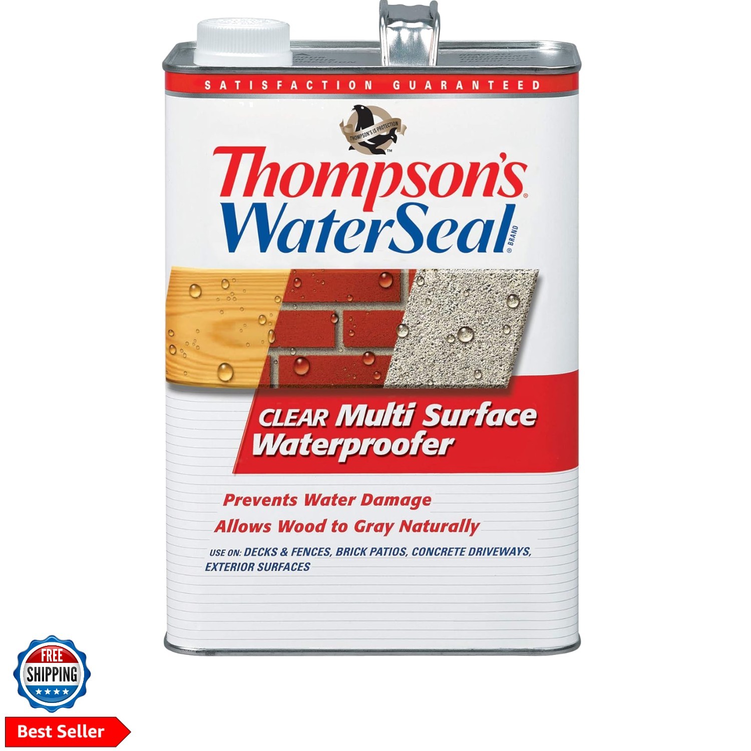 Thompson’s WaterSeal Multi-Surface Waterproofer Stain, Clear, 1 Gallon