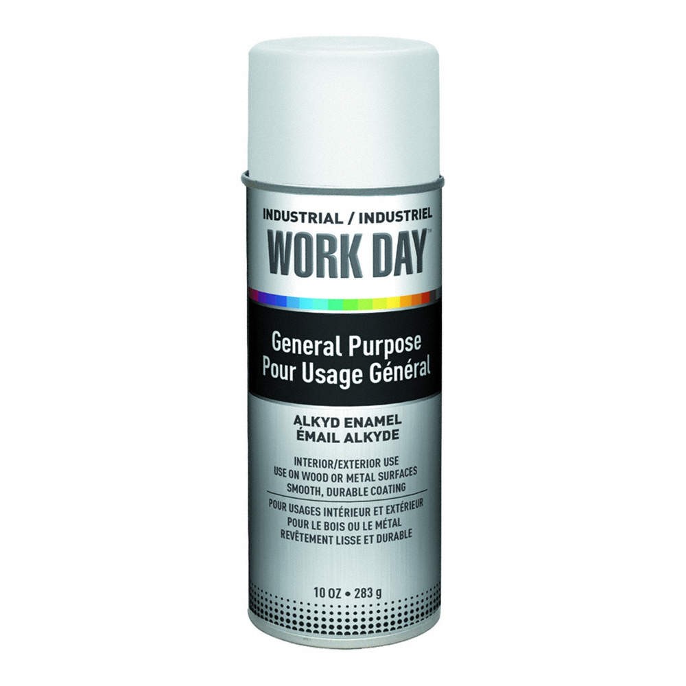 KRYLON INDUSTRIAL PK 12