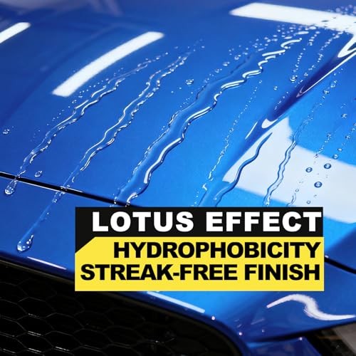 500ML Ceramic Coating for Cars: Quick Effect Coating 16.9 Fl Oz (Pack of 1)