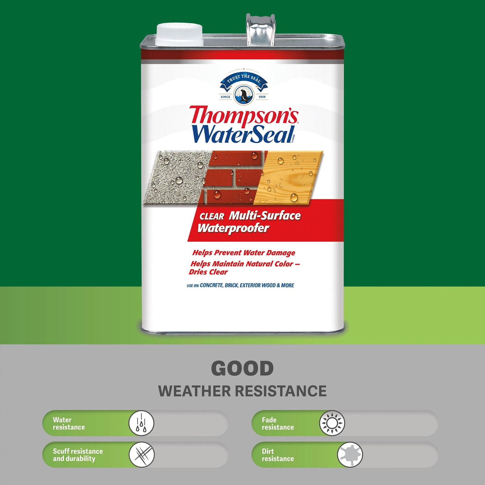 Thompson’s WaterSeal Multi-Surface Waterproofer, Clear, 1 Gallon