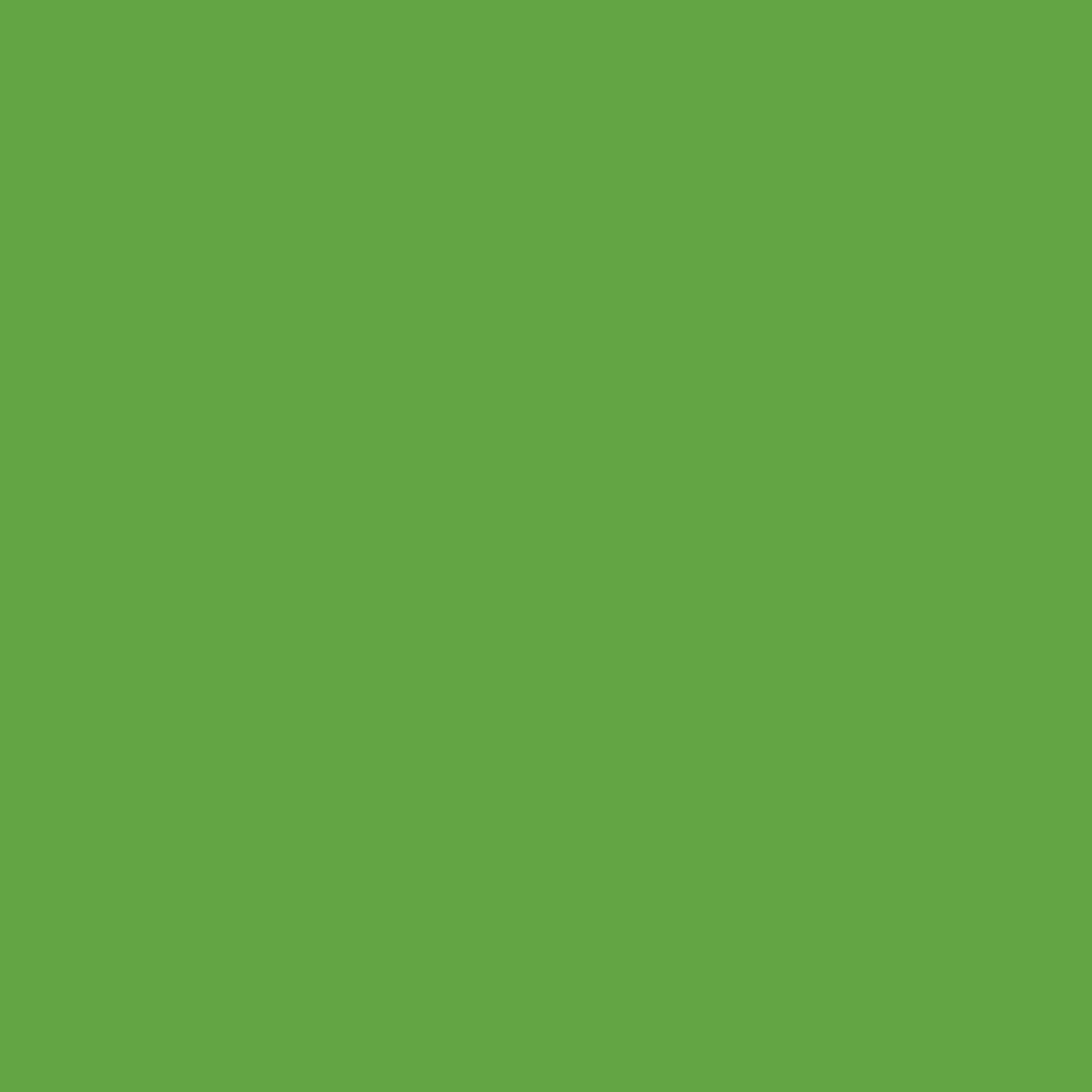 Rust Oleum 15Oz Fluorescent Green Marking Paint Pack Of 12 Fast Dry Durable