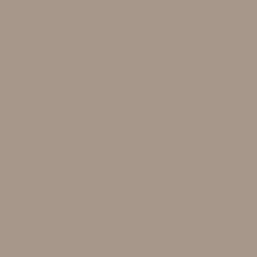 8 Oz. PPG1020-5 Earl Gray Satin Interior Paint Sample