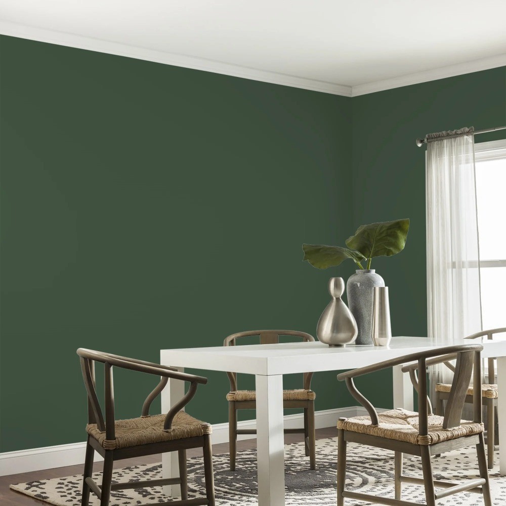 1 Gallon Green and Eggshell Interior Paint for Home Walls and Ceilings