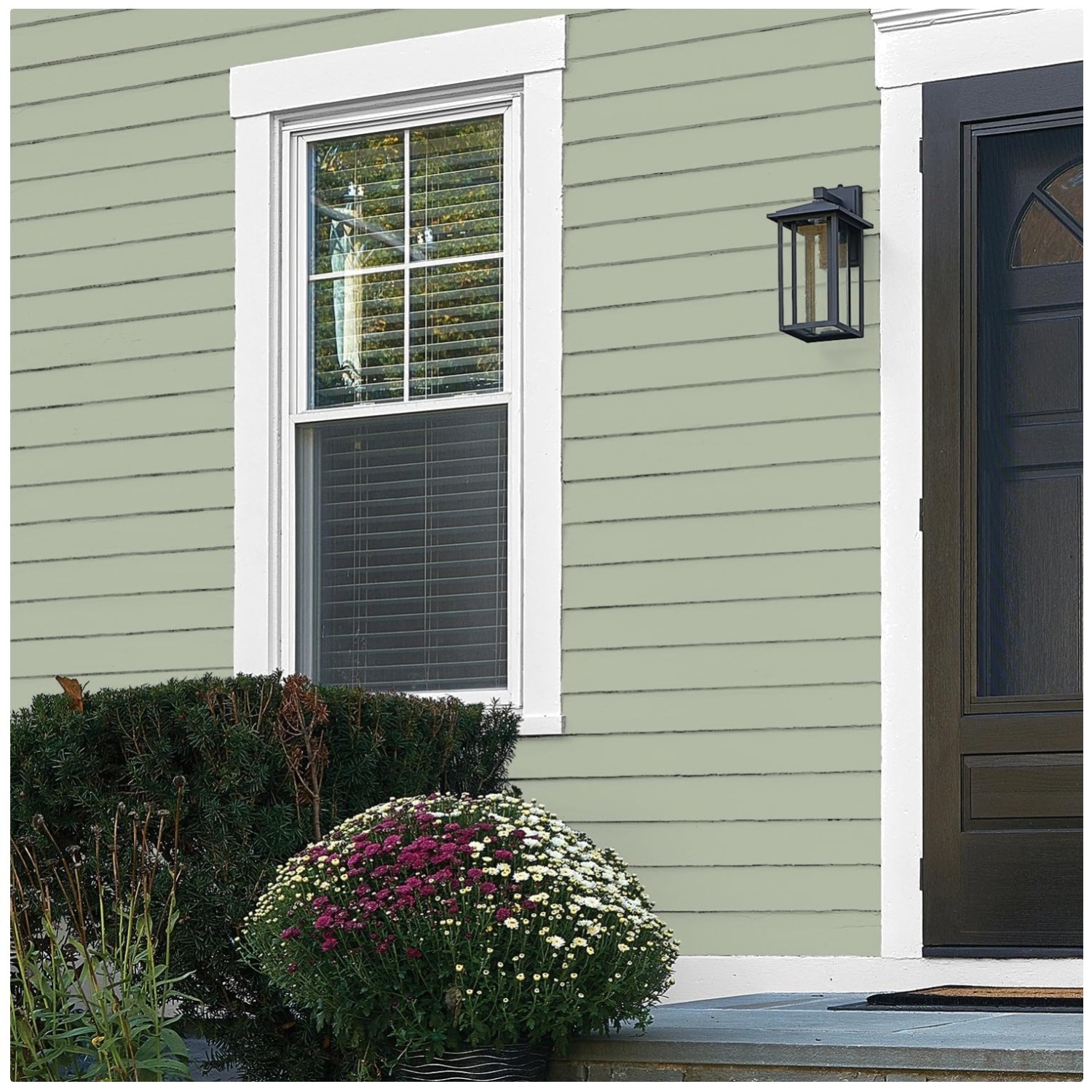 Total Exterior Paint & Primer, Light Sage, Flat, 1 Gallon