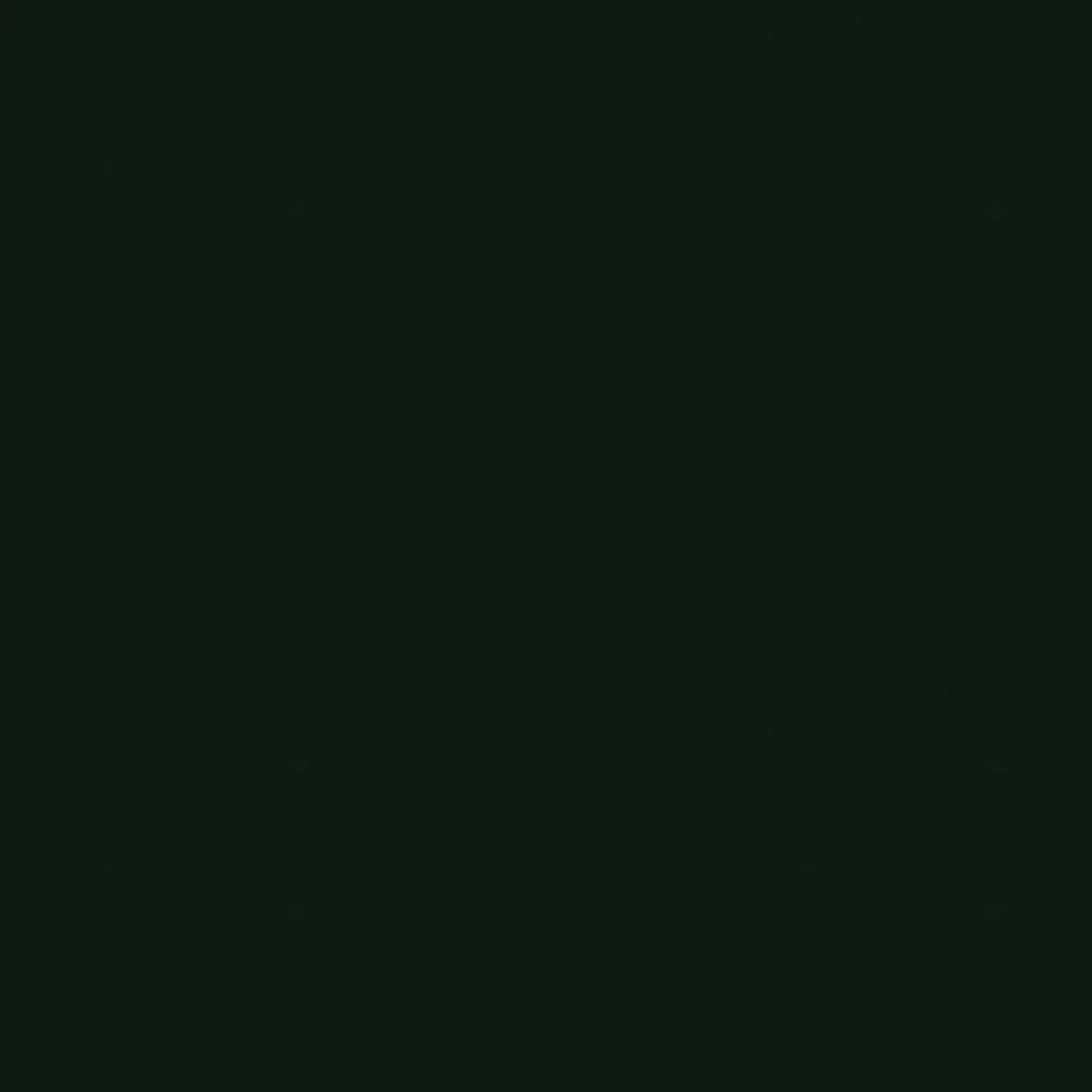 Rust-oleum High Heat Bar-B-Que Black Flat Spray Paint, 7778830, 12 Oz (2 Pack)