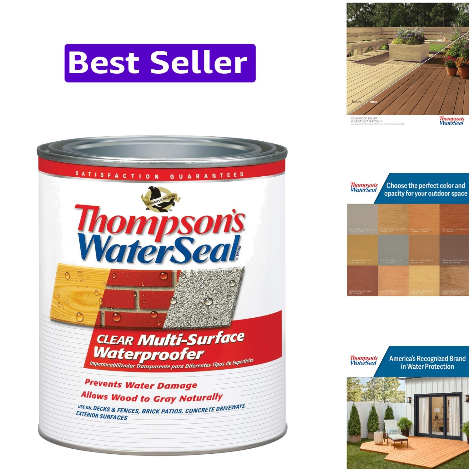 Thompson’s WaterSeal Multi-Surface Waterproofer Stain, Clear, 1 Quart