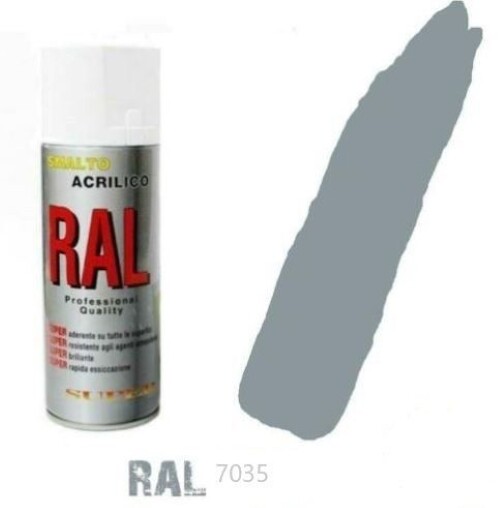 RAL Quick Drying Acrylic Spray Paint Enamel Canvas Various Colors