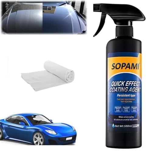 Ceramic Paint Sealant Spray – Maximum Gloss & Shine, Hydrophobic Coating for Car