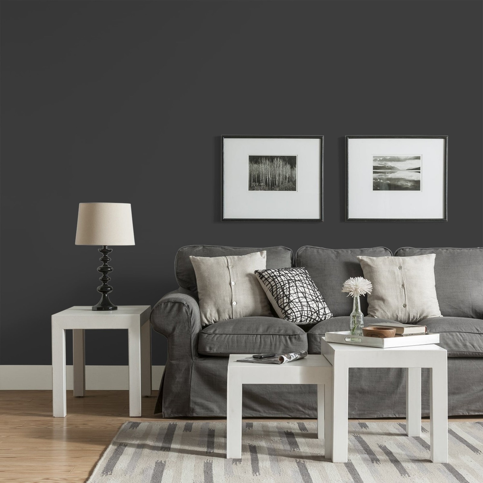 Gallon of Black Eggshell Interior Paint for Walls and Ceilings