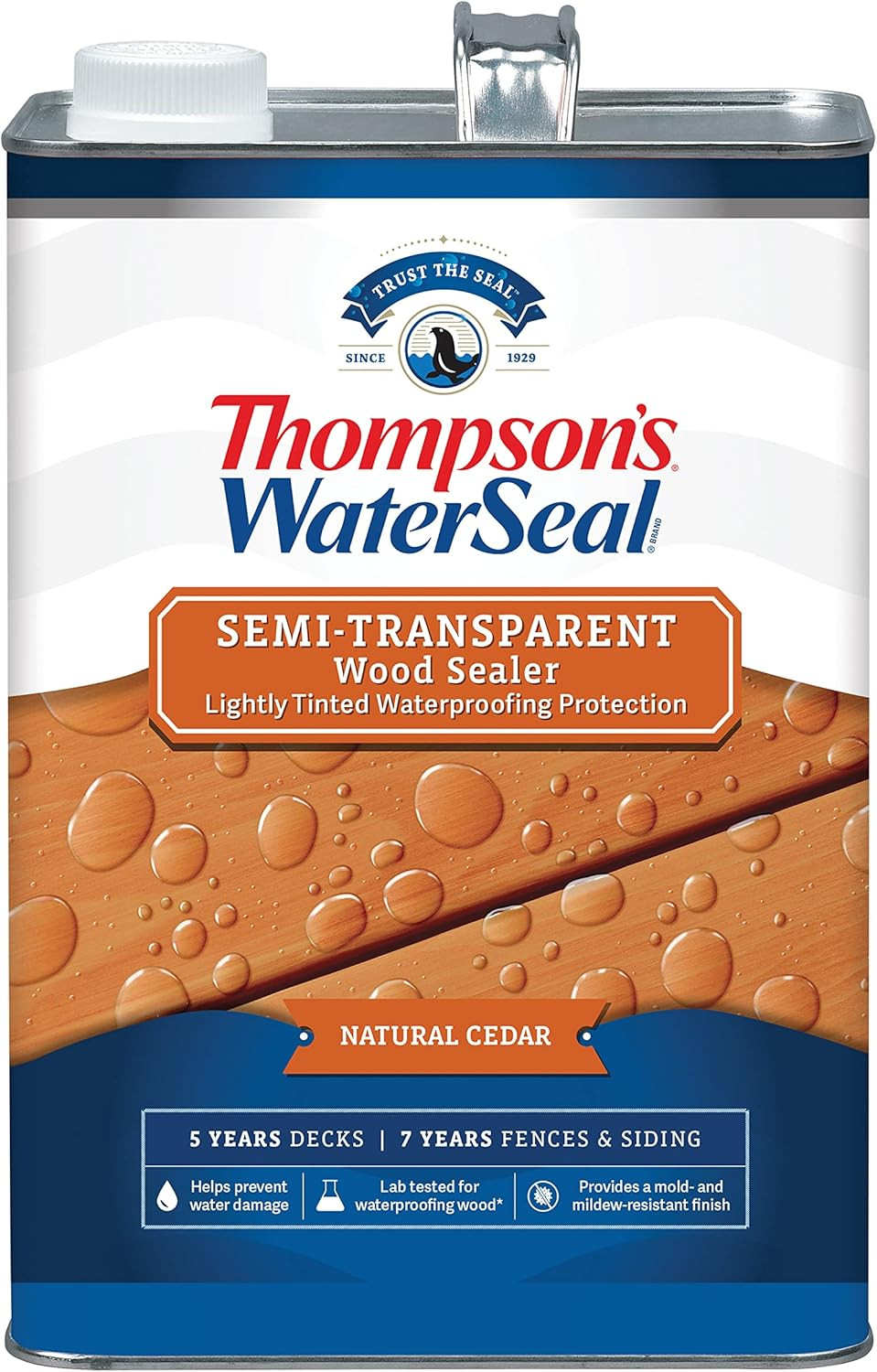 Thompson’S Waterseal Semi-Transparent Waterproofing Wood Stain and Sealer