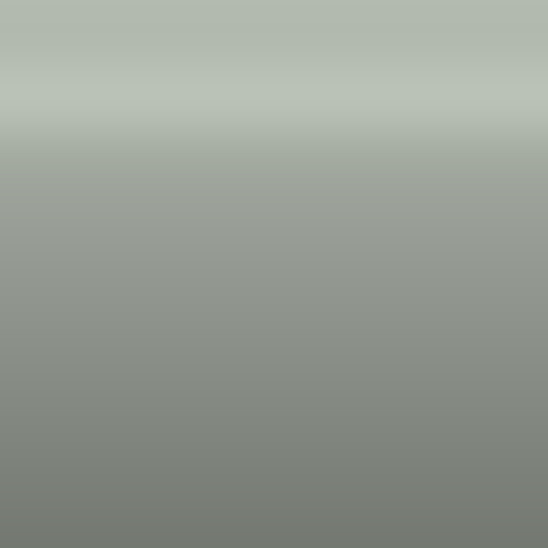 Automotive Touch Up Paint Buick Light Pearl Gray 9349