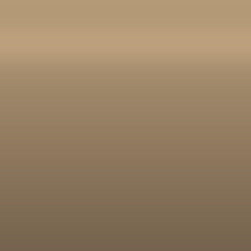 Automotive Touch Up Paint Datsun Deep Gold Metallic 304