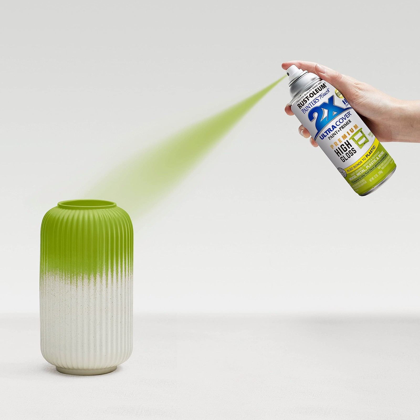 High Gloss Tropical Leaf Spray Paint 12 Ounce for Interior and Exterior Use